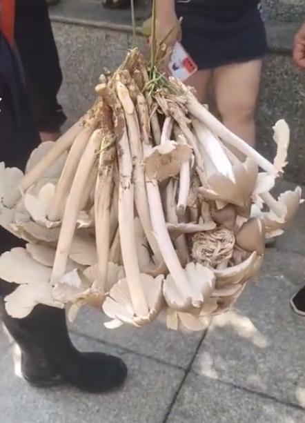 贵州暖阳下的友情与家的温馨日常